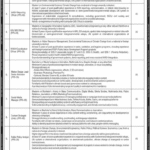 Ministry of Climate Change Islamabad Jobs 2025 – Apply Online