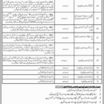 Sindh Institute of Physical Medicine & Rehabilitation Jobs 2025 – Latest Vacancies in Karachi