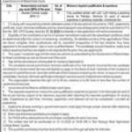 Public Sector Organization Legal Jobs in Quetta – October 2025