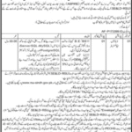 School Education & Literacy Department Karachi Jobs 2025 | Database Administrator Position – Apply Now