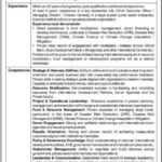 National Disaster Risk Management Fund (NDRMF) Jobs 2025 – Chief Executive Officer | Islamabad