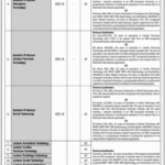 Khyber Medical University (KMU) Peshawar Jobs 2025 – Apply Online for Teaching & Technical Vacancies