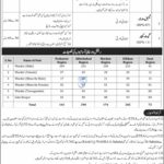 Jail Department Peshawar Jobs 2025 – Apply Now for Gate Keeper, Warder & Female Warder Posts