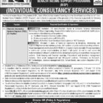 Latest Benazir Income Support Programme (BISP) Job Opportunities 2025 – Apply Online