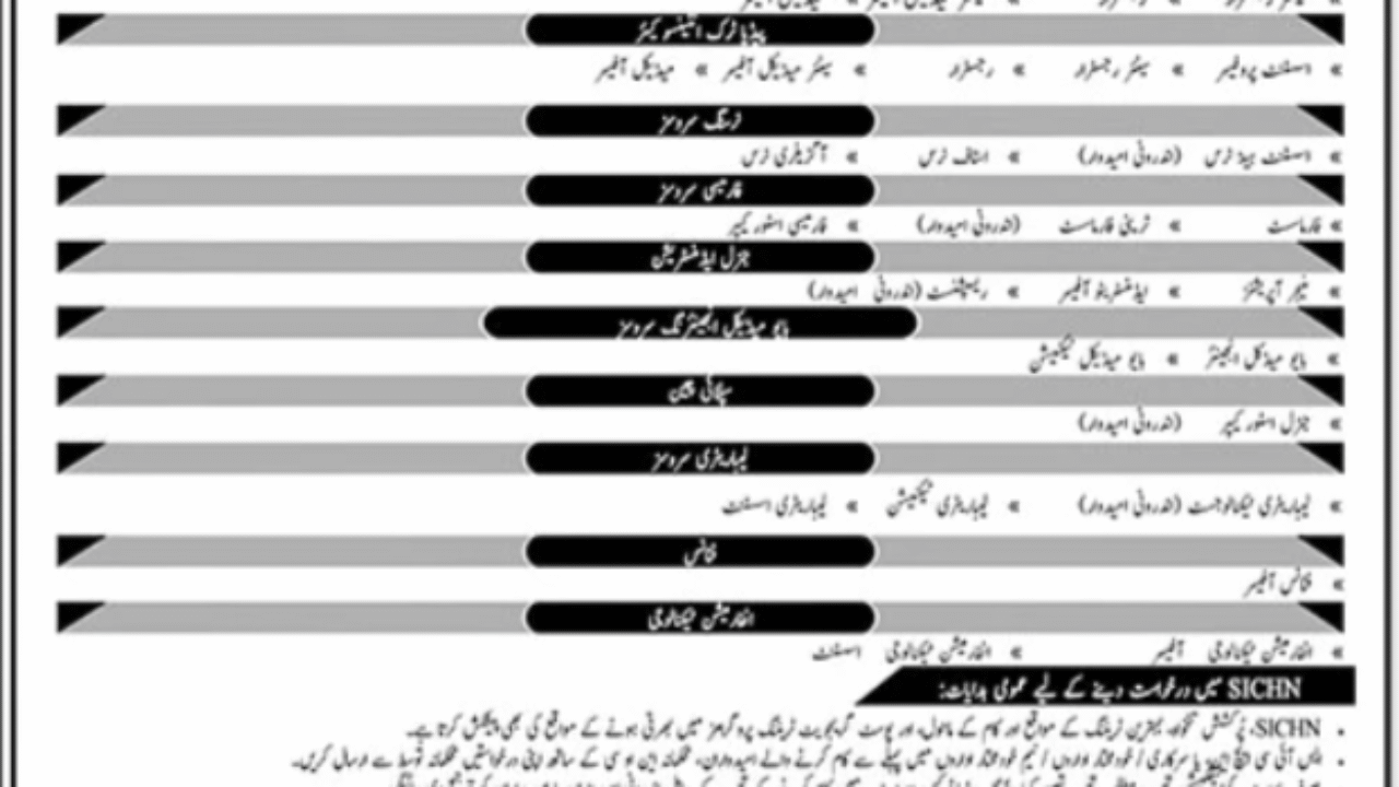 Sindh Institute of Child Health & Neonatology (SICHN) Jobs 2025 – Multiple Vacancies for Healthcare, IT, and Management Staff | Karachi Latest Government Jobs