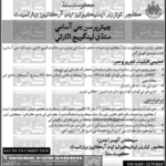 Culture, Tourism, Antiquities & Archives Department Jobs 2025 – Chairperson Vacancy in Karachi (Government Job)