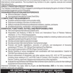 Pakistan Cricket Board (PCB) Jobs 2025 – Director International Cricket Operations Vacancy