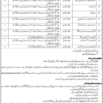 Sindh Revenue Board (SRB) Jobs 2025 – Software Developer, Business Analyst & IT Support Vacancies