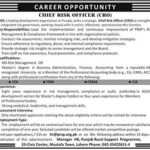 Punjab Rural Support Program (PRSP) Lahore Jobs 2025 – Apply for Chief Risk Officer (CRO)