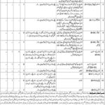 Provincial Library Balochistan Latest Government Jobs 2025 in Quetta – Apply Now