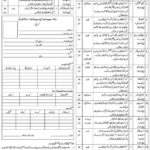 Port Qasim Authority (PQA) Latest Government Job Openings 2025 in Karachi – Apply Now
