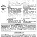 Punjab Population Innovation Fund (PPIF) Jobs 2025 – Apply for Chief Internal Auditor (CIA) in Lahore