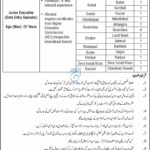 NADRA Islamabad Job Openings 2025 – Data Entry Operator & Junior Executive Vacancies