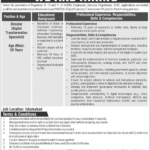 NADRA Islamabad Job Openings 2025 — Apply Online for Director & Digital Transformation Specialist