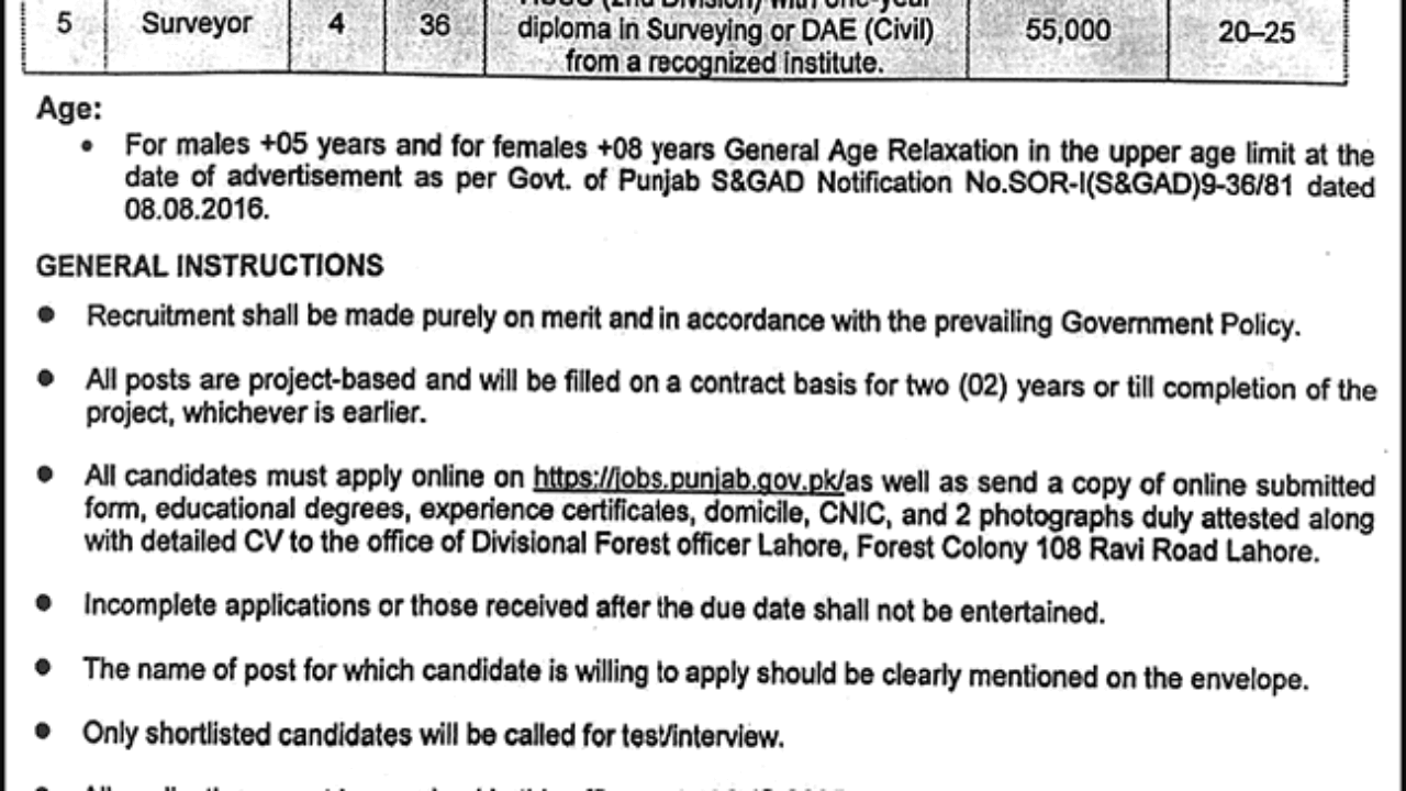 Punjab Forest Department Lahore Jobs 2025 – IT & Technical Positions Announced