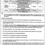 Punjab Forest Department Lahore Jobs 2025 – IT & Technical Positions Announced