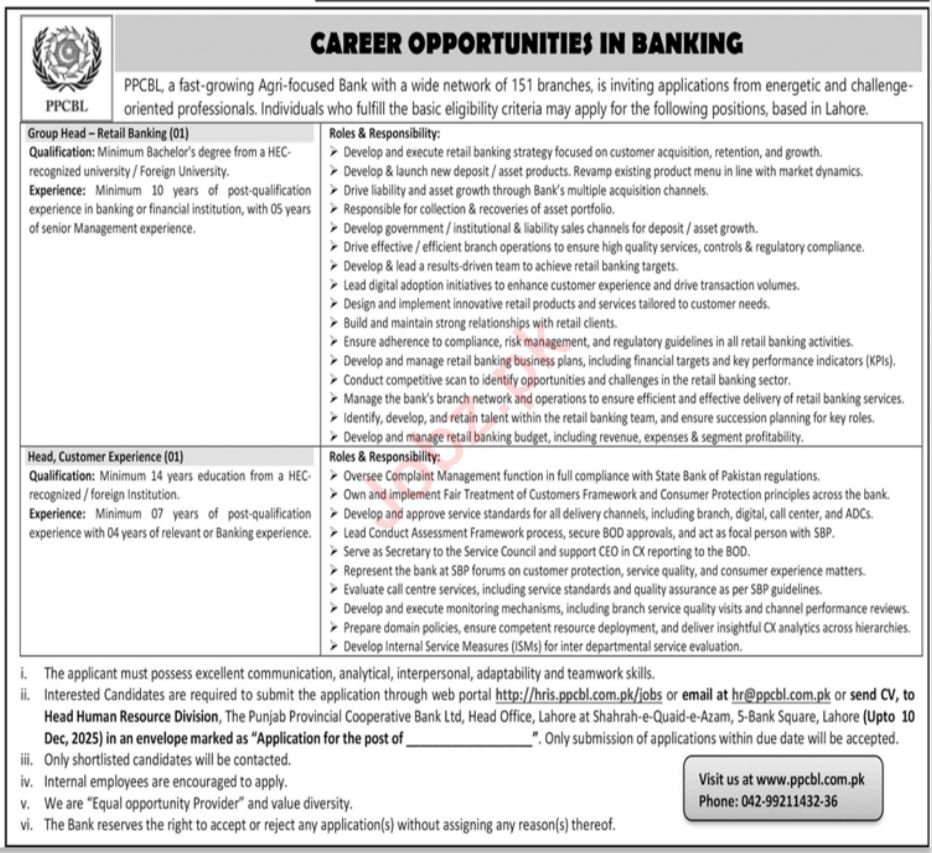 PPCBL Lahore Jobs 2025 – Head Customer Experience & Group Head Vacancies