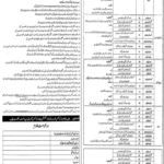 Excise Taxation & Narcotics Control Department Lahore Jobs 2025 – Multiple Vacancies Announced