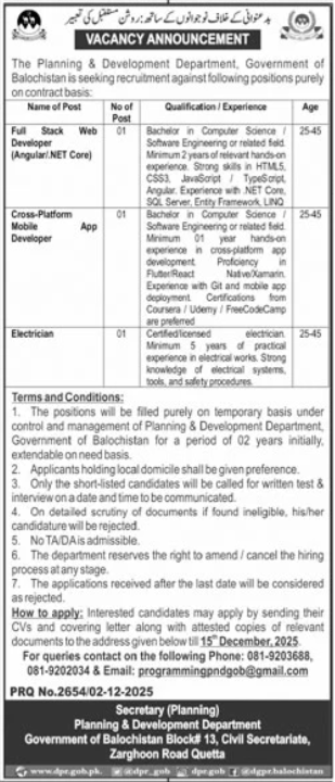Planning & Development Department Quetta Jobs 2025 – Full Stack Developer & Mobile Developer Vacancies