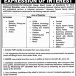 Individual Instructor Jobs 2025 – Nawaz Sharif Center of Excellence for Early Childhood Education (ECE) Lahore