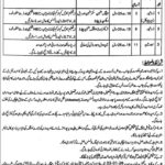 District Council Jhang Government Jobs 2025 – HTV/LTV Drivers & Sewer Man Vacancies