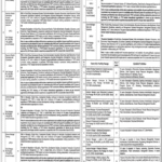 Skills Development & Entrepreneurship Department Jobs in Lahore – Government Management Jobs 2026