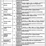 Program Management Unit (PMU) Government Jobs in Lahore 2026 – Apply Before 08 February