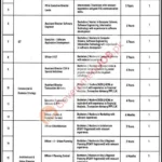 Ravi Urban Development Authority (RUDA) Jobs 2026 – Latest Government Vacancies in Lahore