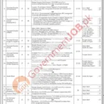 WAPDA Jobs 2026 in Pakistan (BPS-17 & BPS-18) – Apply Online for Engineers, Doctors & Officers