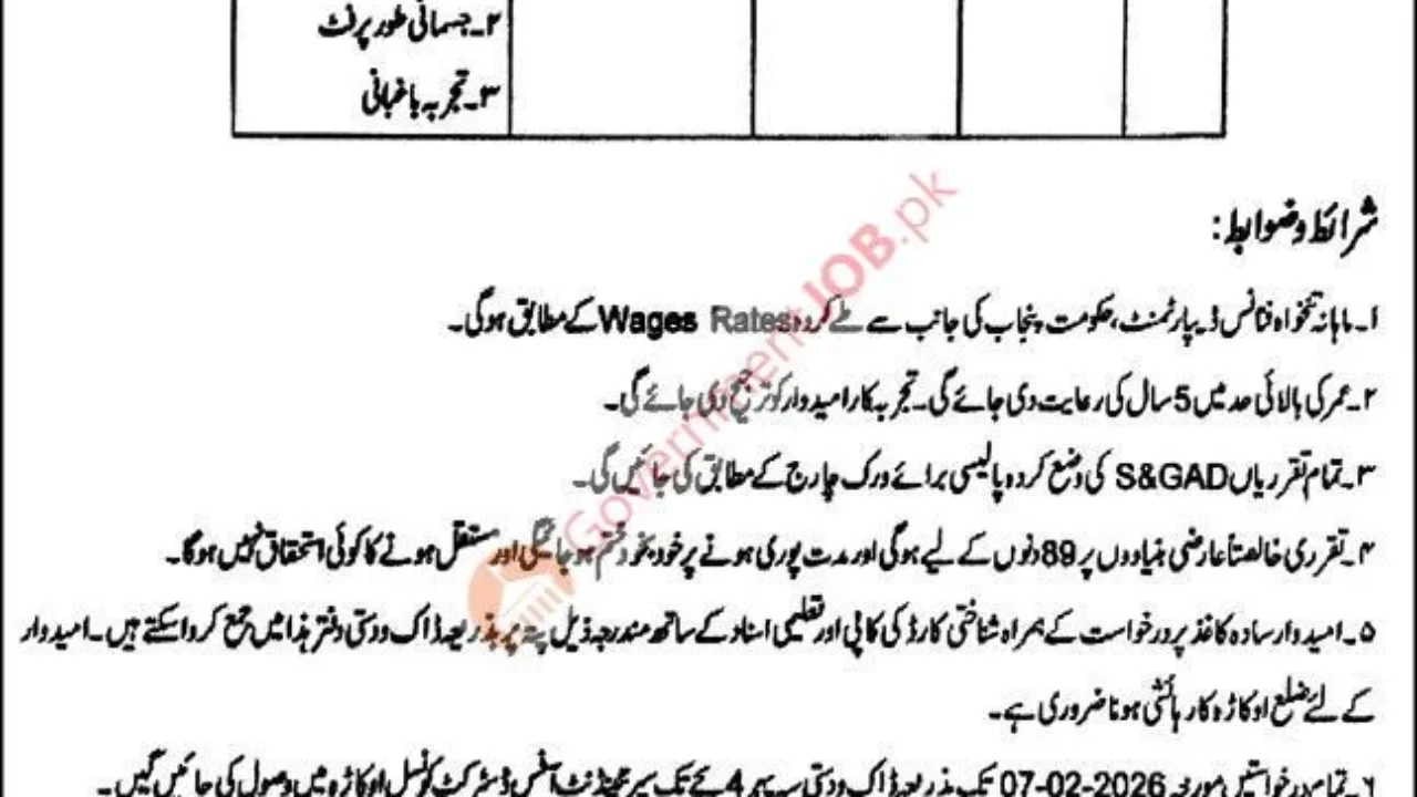 Mali (Gardener) Jobs in Okara 2026 – District Council Okara (Local Government)