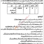 Mali (Gardener) Jobs in Okara 2026 – District Council Okara (Local Government)